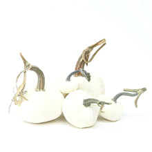 Load image into Gallery viewer, Decor Gold HS-002