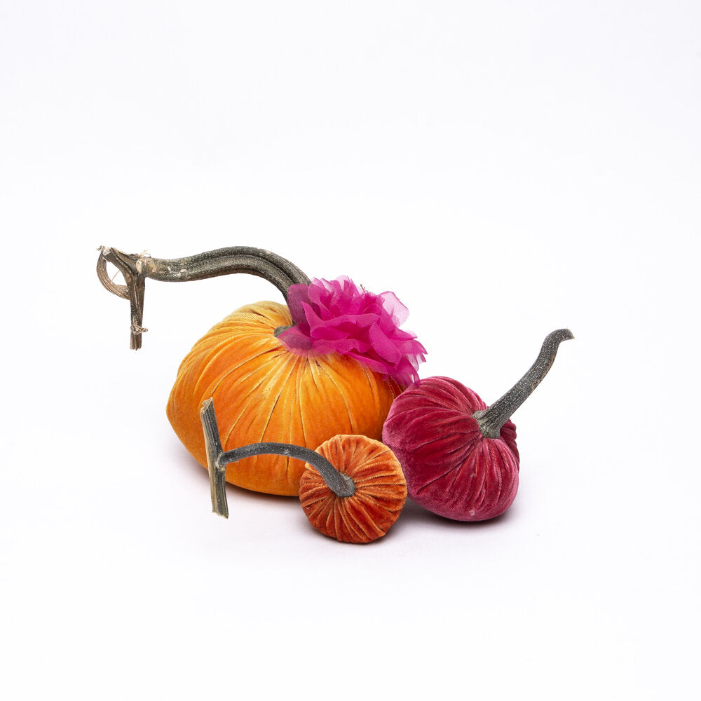 Tropical Fruit