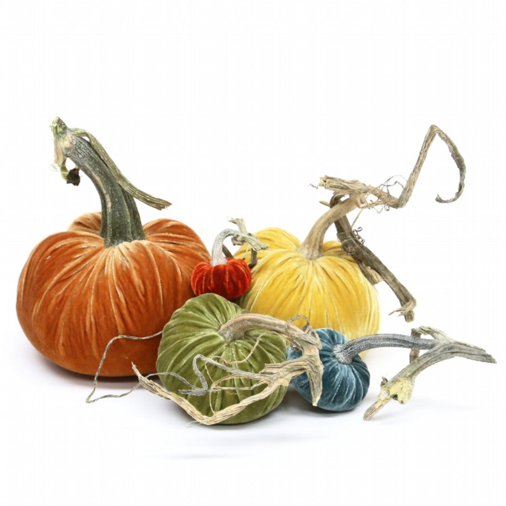 Country Harvest HS-009