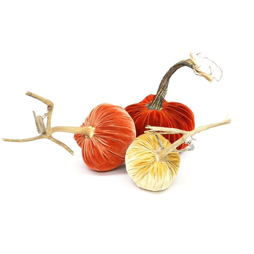Autumn HS-011